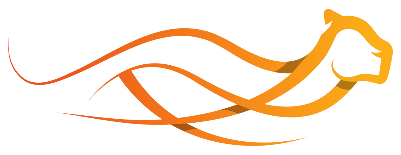 Warrior Mindset Strategies Lion Logo